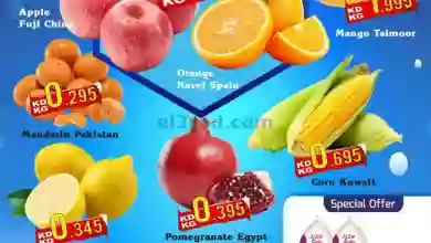 el3rod.com00001-879