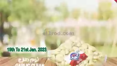 el3rod.com00001-882