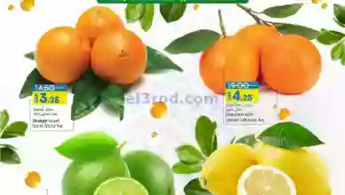 el3rod.com00001-918