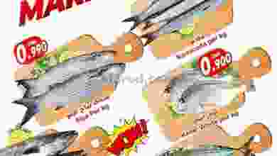 el3rod.com00001-99