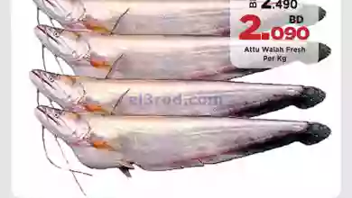 el3rod.com00001-997