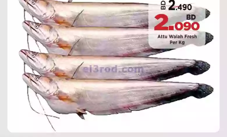 el3rod.com00001-997