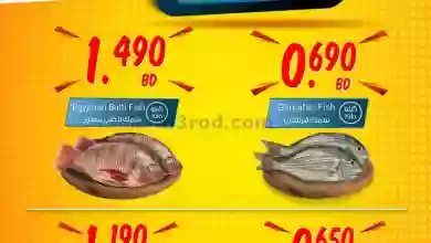 el3rod.com00002-1018