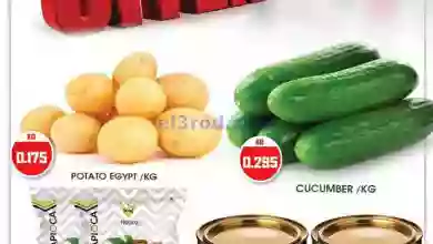 el3rod.com00002-1099