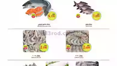 el3rod.com00002-1110