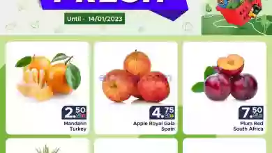 el3rod.com00002-528