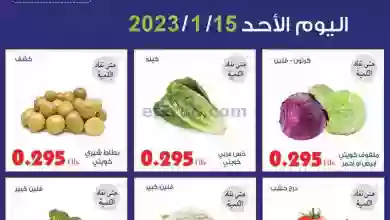el3rod.com00002-560