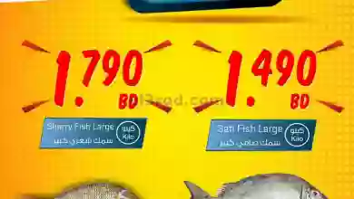 el3rod.com00002-662