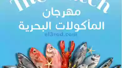 el3rod.com00002-736