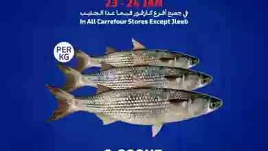 el3rod.com00002-917