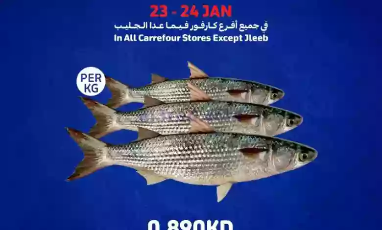 el3rod.com00002-917