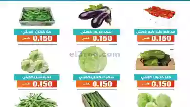 el3rod.com00002-976