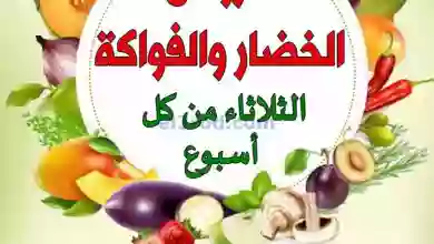 el3rod.com00003-282