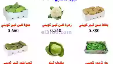 el3rod.com00004-230