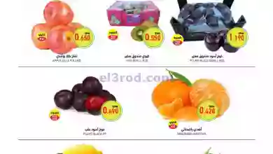 el3rod.com00004-287