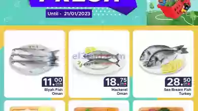 el3rod.com00004-615