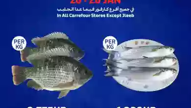 el3rod.com00004-828