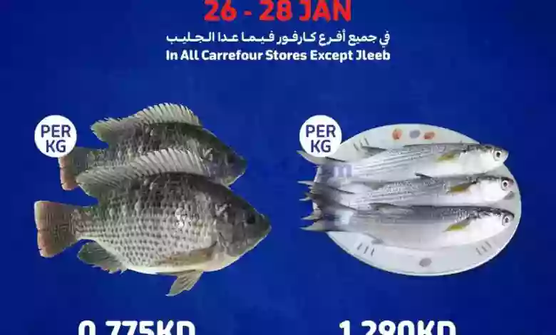 el3rod.com00004-828