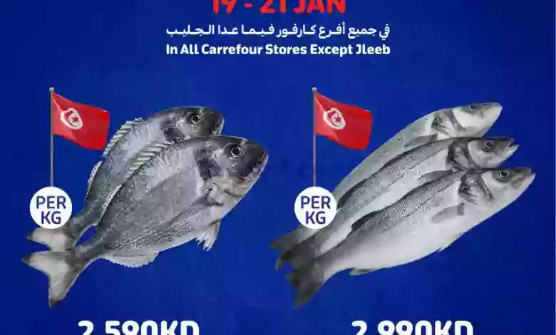 el3rod.com00006-417