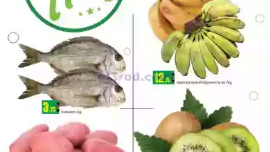 el3rod.com00009-505