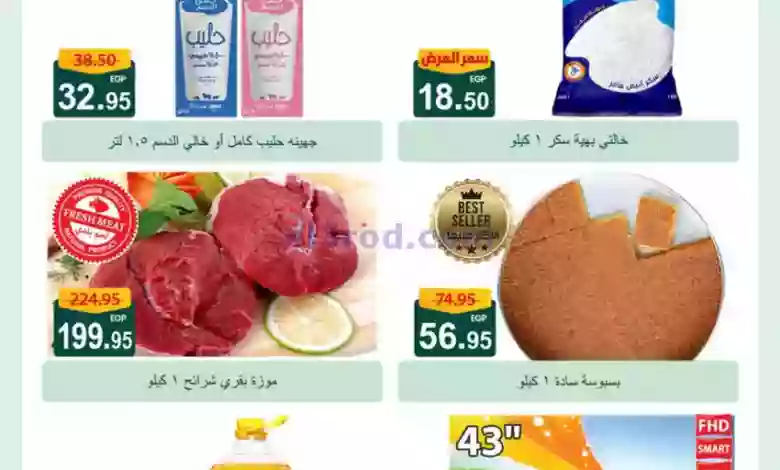 el3rod.com00010-119