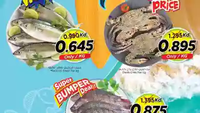 عروض نستو الكويت|8 حتى 10-2-2023|أسماك FISH-DEALS-_Nesto_Kwt