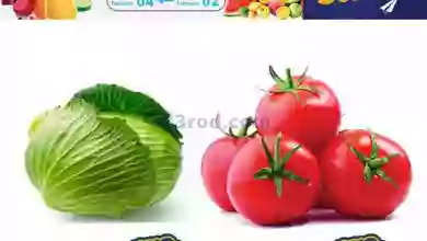 عروض رامز الكويت|حتى 4-2-2023|طازجة el3rod.com00001-139