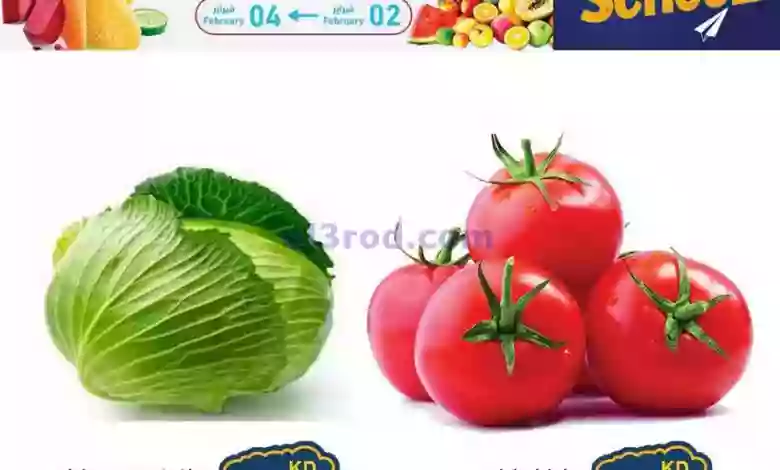 el3rod.com00001-139