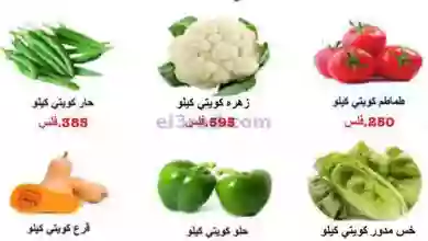 el3rod.com00001-1450