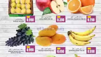 el3rod.com00001-160