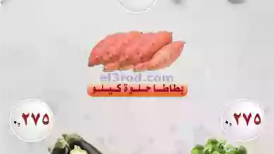 el3rod.com00001-212