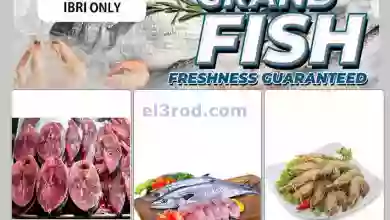 el3rod.com00001-223