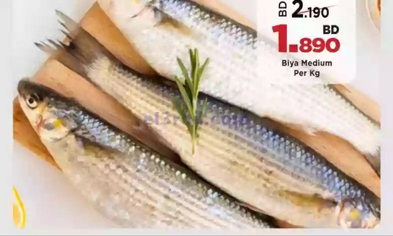 el3rod.com00001-297