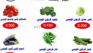 el3rod.com00001-495