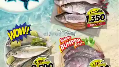 el3rod.com00001-55