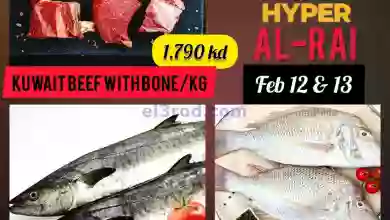 el3rod.com00001-565