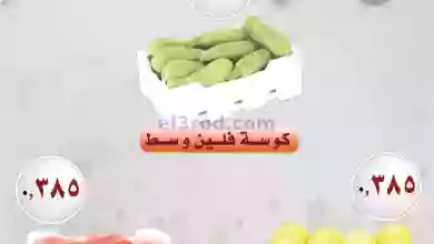 el3rod.com00001-581