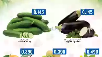 el3rod.com00001-601