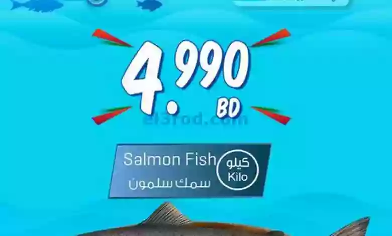 el3rod.com00001-687