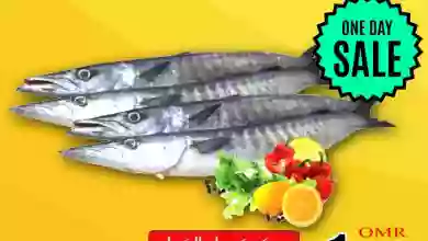 el3rod.com00001-746