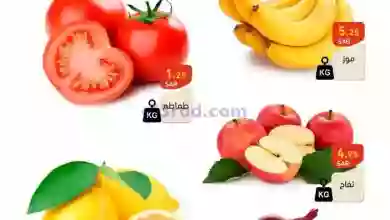 el3rod.com00001-813