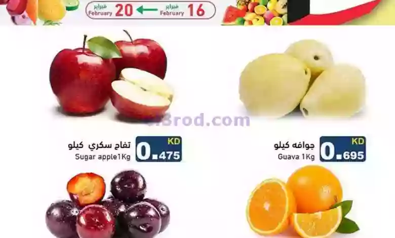 el3rod.com00001-859