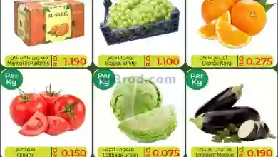 el3rod.com00001-898