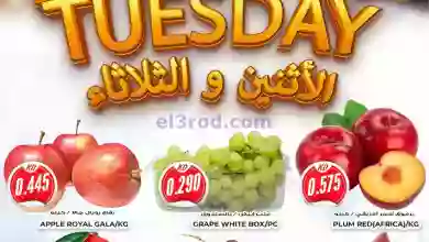 el3rod.com00001-985