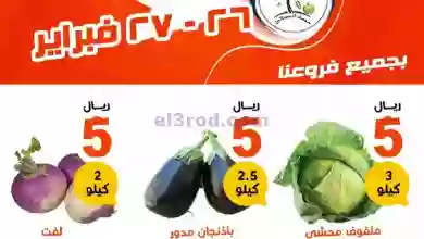 el3rod.com00002-1089