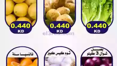 el3rod.com00002-384