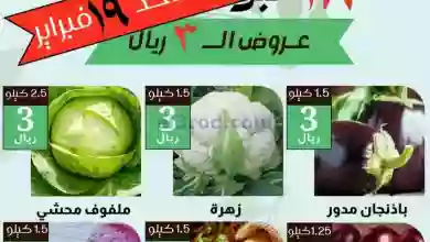 el3rod.com00002-793