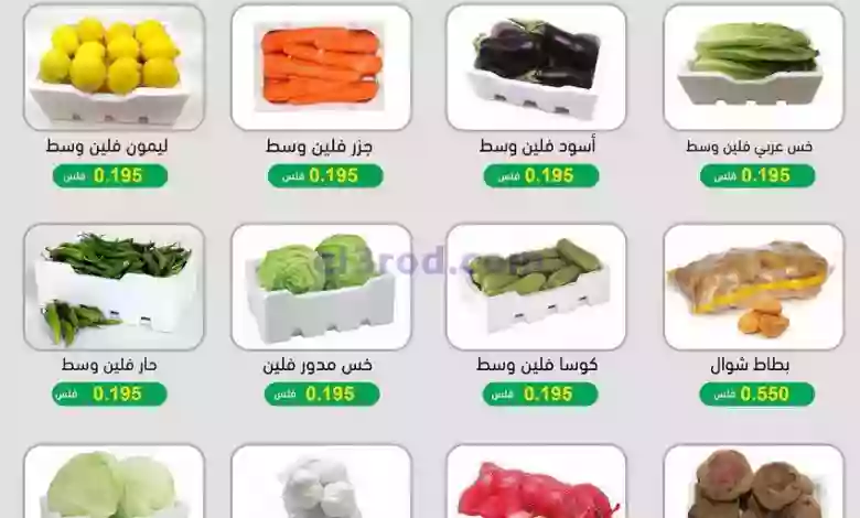 el3rod.com00002-921