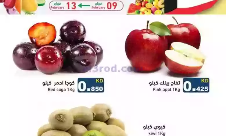 el3rod.com00003-334