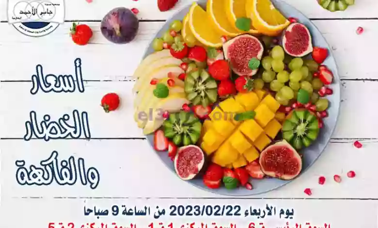 el3rod.com00003-839